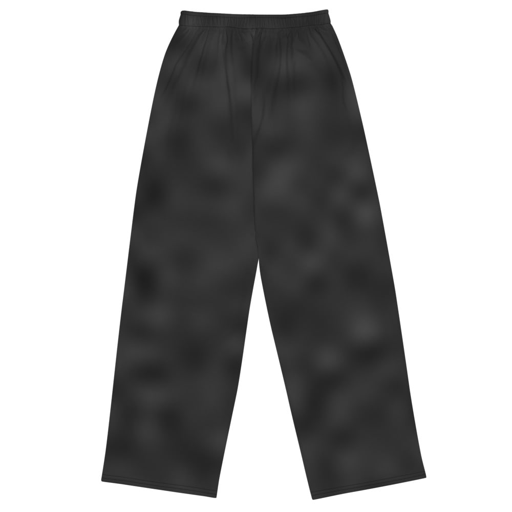 Washed Wide Pant, back