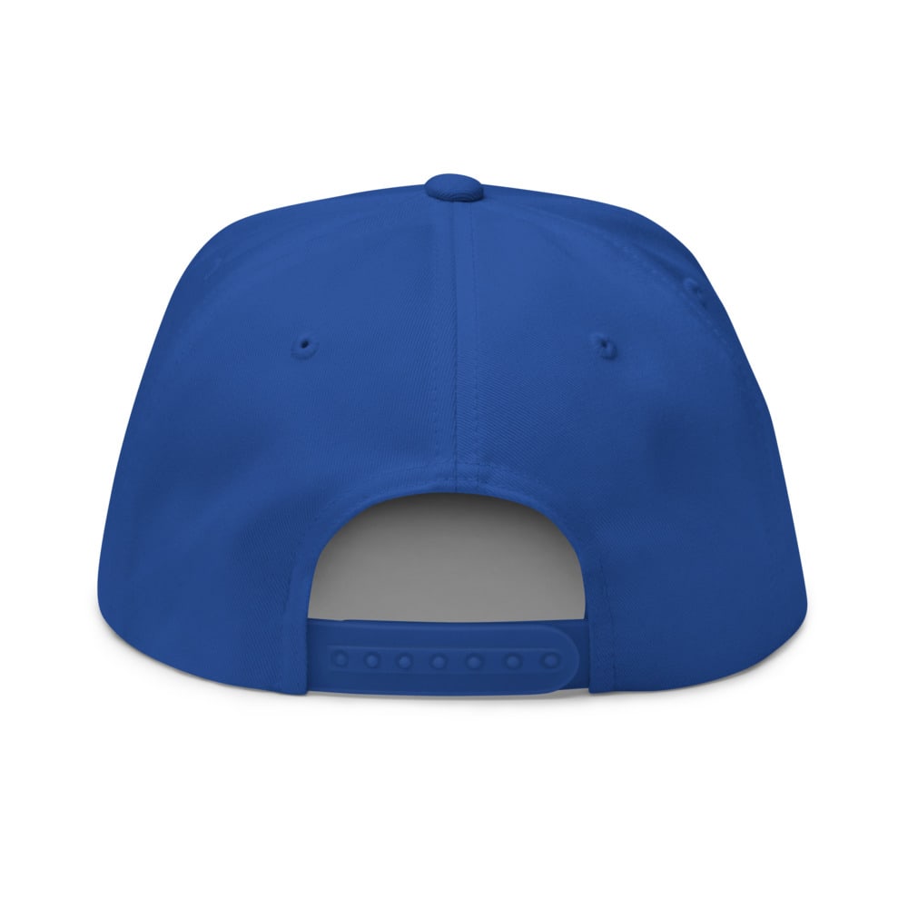 ROAS 4.0 A-Frame Snapback, back