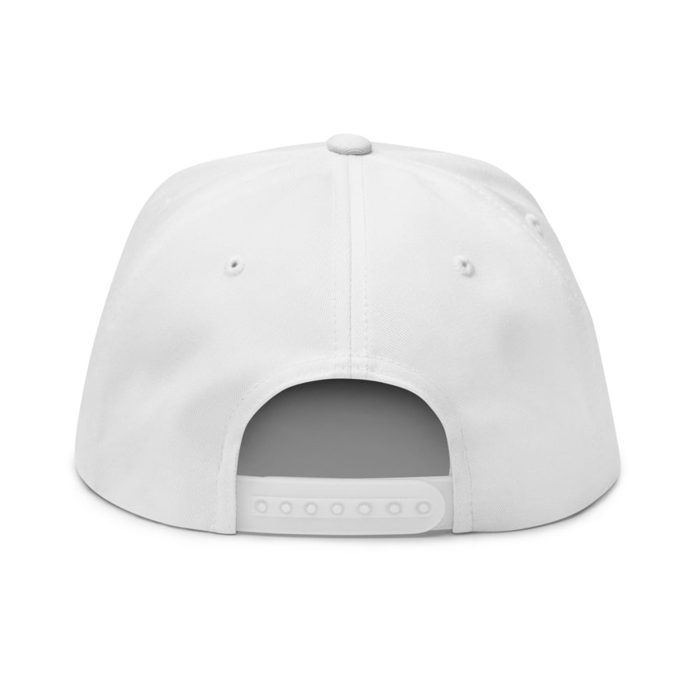ROAS Chevron A-Frame Snapback, back