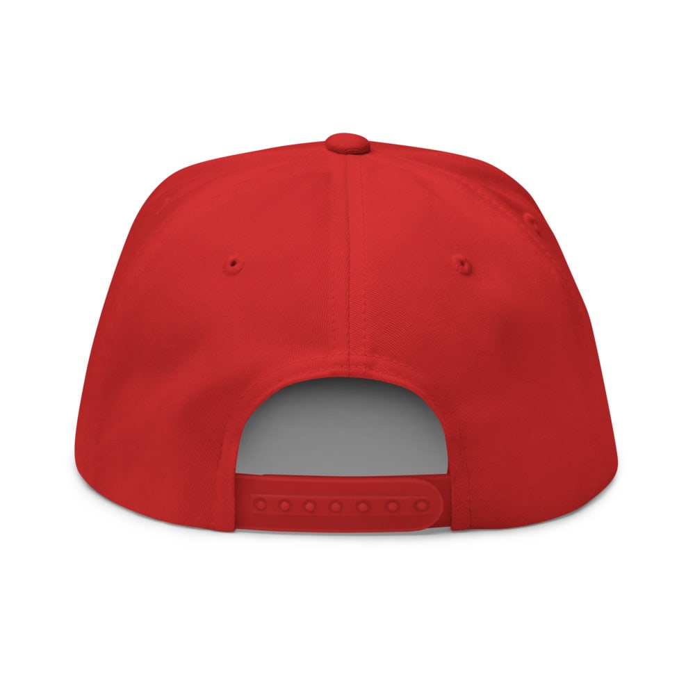 ROAS Crown A-Frame Snapback, back
