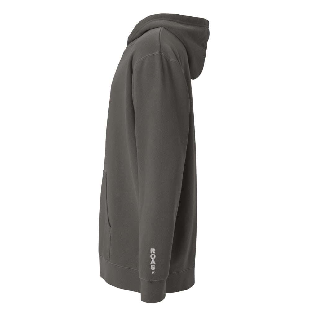 Athletic Dept. Embroidered Hoodie, left side